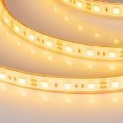 Лента герметичная RTW-PGS-B60-13mm 12V Yellow (14.4 W/m, IP67, 5060, 5m)