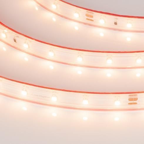 Лента RTW 2-5000PS-50m 24V (3528, 60 LED/m, LUX)