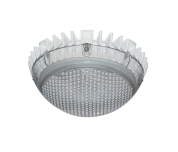 АСТЗ ДБО84-9 Coral LV 850