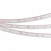 Лента RTW-5000PS-3528-60-12V Blue (11mm, 4.8W, IP67)