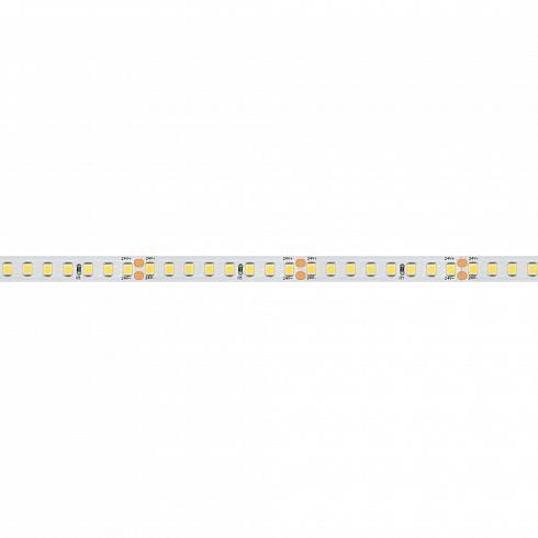 Лента RT-A160-8mm 24V (12 W/m, IP20, 2835, 5m)