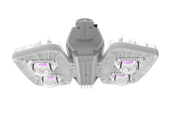 Pandora LED 605PN-240 PHYTO