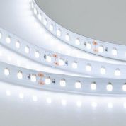 Лента RTW-5000SC 24V Cool SP7500-Fish 10mm (2835, 112 LED/m, SHOP)