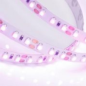 Лента RT-A120-8mm 12V (9.6 W/m, IP20, 2835, 5m) Pink / Red
