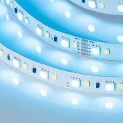 Лента IC-40000-5060-108-48V RGB (12mm, 15W, IP20)