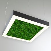 КЕО MOSS LIGHTBOX P 1950 (Квадрат)