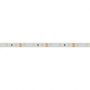 Лента RT-A60-8mm 12V CRI98 (4.8 W/m, IP20, 2835, 5m)