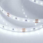 Лента MICROLED-5000HP 24V White6000 8mm (2216, 120 LED/m, LUX)