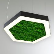 КЕО MOSS HEXAGON P 1950 (Шестиугольник)
