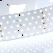 Лента RT 2-2500 24V Cool 8K 5x2 (2835, 875 LED, LUX)