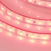 Лента герметичная RTW-PFS-A60-11mm 12V (4.8 W/m, IP68, 2835, 5m) Blue / Red