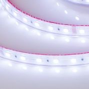 Лента герметичная RTW-PS-B60-12mm 24V RGB (14.4 W/m, IP67, 5060, 50m)