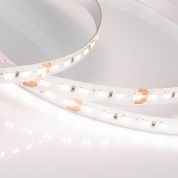 Лента MICROLED-M240-8mm 24V White-CDW (9.6 W/m, IP20, 2216, 5m)