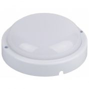 ЭРА SPB-2-12W R/О