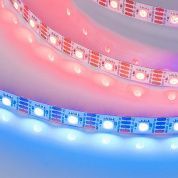 Лента SPI-B60-10mm 12V RGB-PX1-RAM (9.3 W/m, IP20, 5060, 5m)