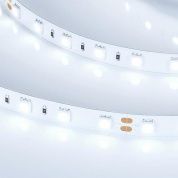 Лента RT-B60-10mm 24V Cool 8K (14.4 W/m, IP20, 5060, 5m)