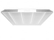 LEDEL L-office 32 Premium