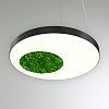 КЕО MOSS ROUND-HOLE P 1000 (круг с отверстием)