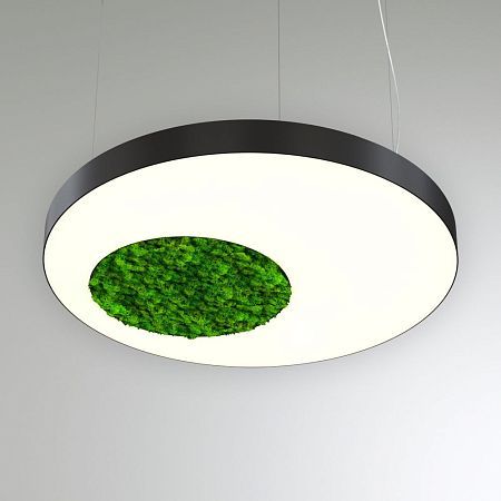 КЕО MOSS ROUND-HOLE P 600 (круг с отверстием)