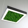 КЕО MOSS LIGHTBOX P 1200 (Квадрат)