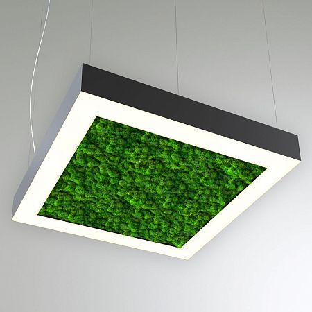 КЕО MOSS LIGHTBOX P 1950 (Квадрат)