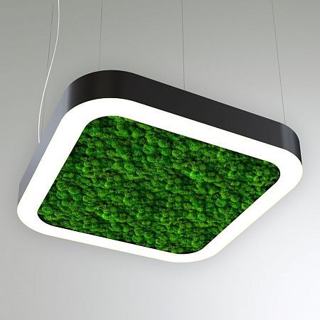 КЕО MOSS LIGHTBOX 1500 (Квадрат закругл.)