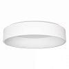 Светильник SP-TOR-RING-SURFACE-R600-42W (WH 120 deg)