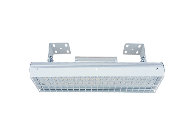 Светильник «Модуль СПОРТ» 70Вт 5 лет