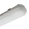 REVOLIGHT RS-LIP236