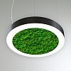 КЕО MOSS RING P 800 (кольцо со мхом)