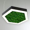 КЕО MOSS HEXAGON P 1500 (Шестиугольник)