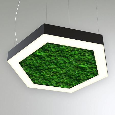 КЕО MOSS HEXAGON P 1950 (Шестиугольник)