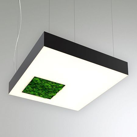 КЕО MOSS LIGHTBOX-HOLE-S P 650 (Квадрат со смещ. отв.)
