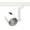 CASTOR LED 30W